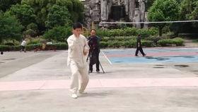 段玉明两仪拳视频,传统武术与现代演绎的完美融合