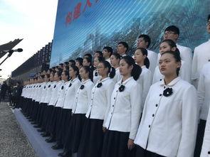 和平宣言朗诵视频,传递爱与和谐的全球声音