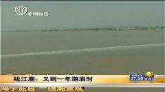 涌潮视频,揭秘潮流趋势，引领时尚风向标