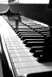 钢琴刮奏视频,指尖舞动下的和谐旋律