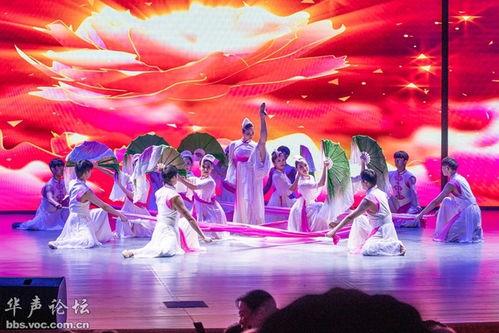 舞动的旋律舞蹈视频,探寻舞蹈与音乐的完美融合之旅