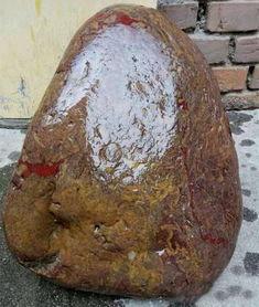 奇石野外寻找视频,野外探险视频精彩回顾