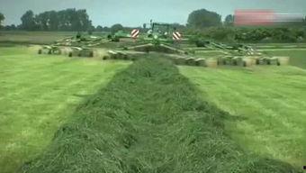 美国现代农业视频,科技赋能下的农业革新之旅