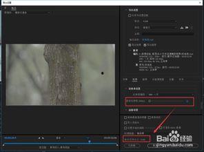 pr导出高清视频设置,设置攻略全解析
