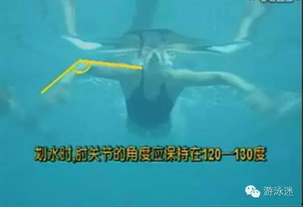 跟我学蛙泳视频教学,视频教程带你轻松掌握蛙泳技巧