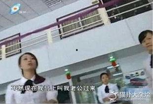 法院姐视频,视频中的法律智慧与生活感悟