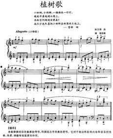 植树歌视频,绿色家园，共筑美好未来