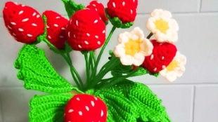 毛线花朵的钩法视频
